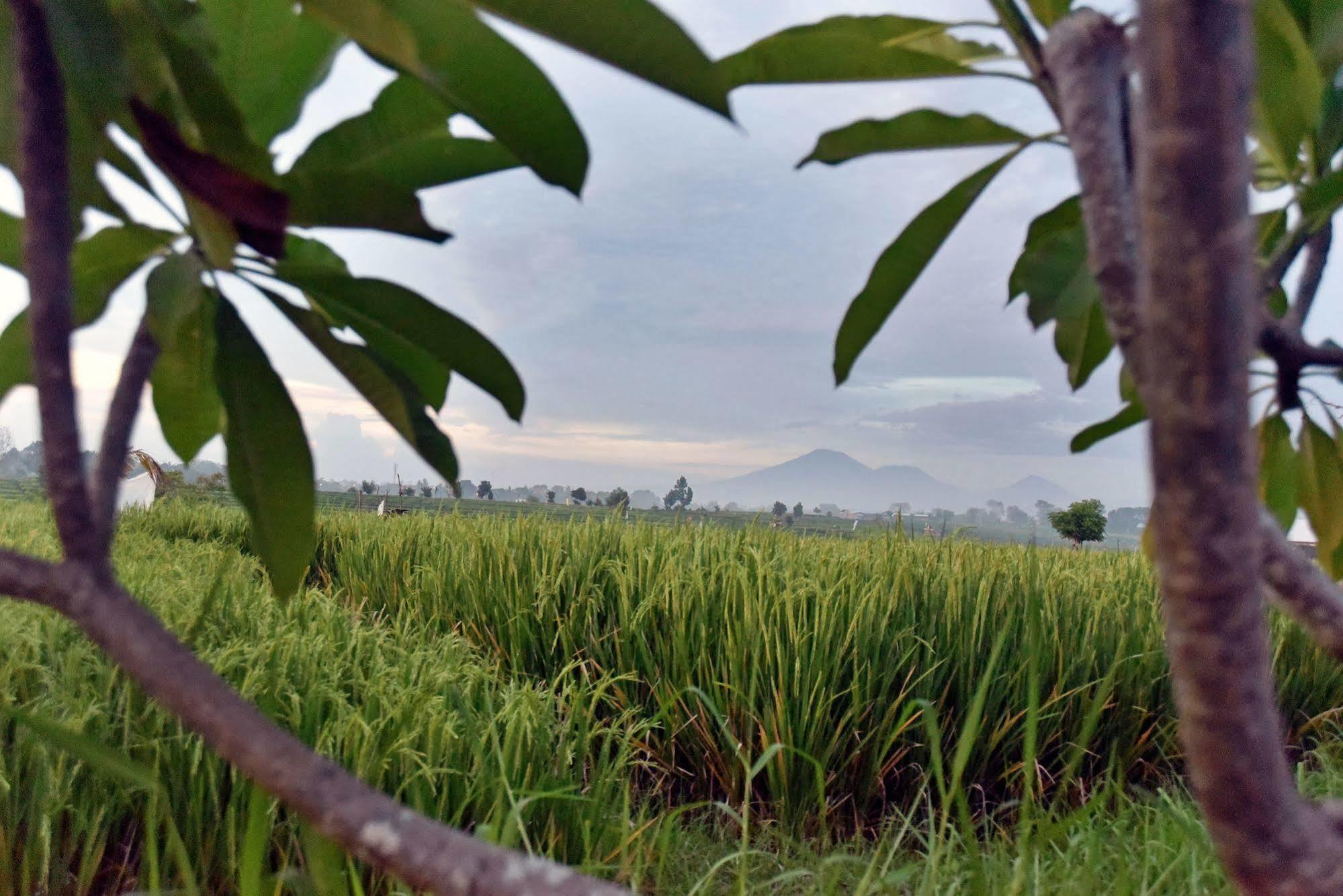 Villa Yenian Canggu Dış mekan fotoğraf